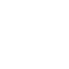 Bdn02988 Logo Icon@3x