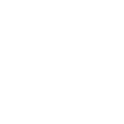 Bdn Logo White